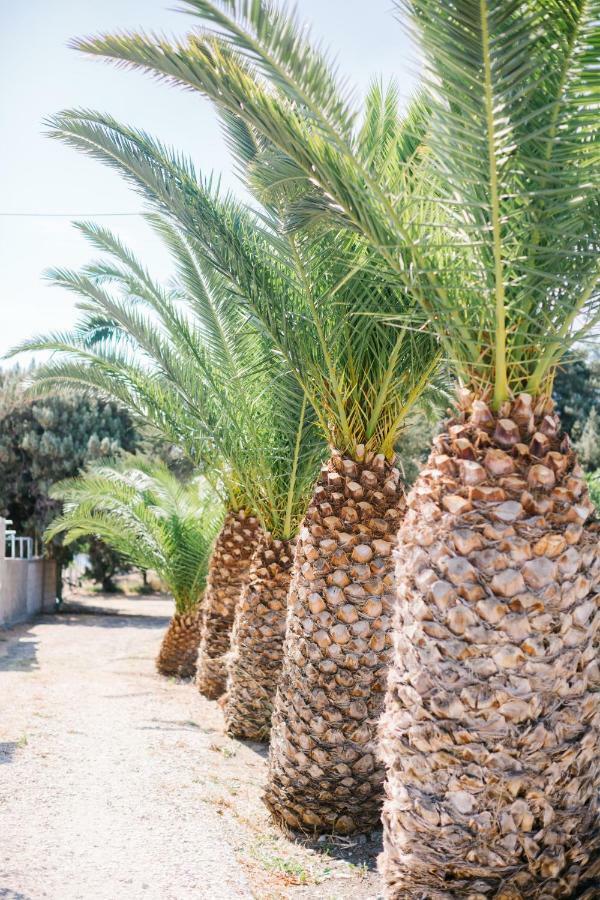Villa Ktima Tzaneti Lakhania Esterno foto