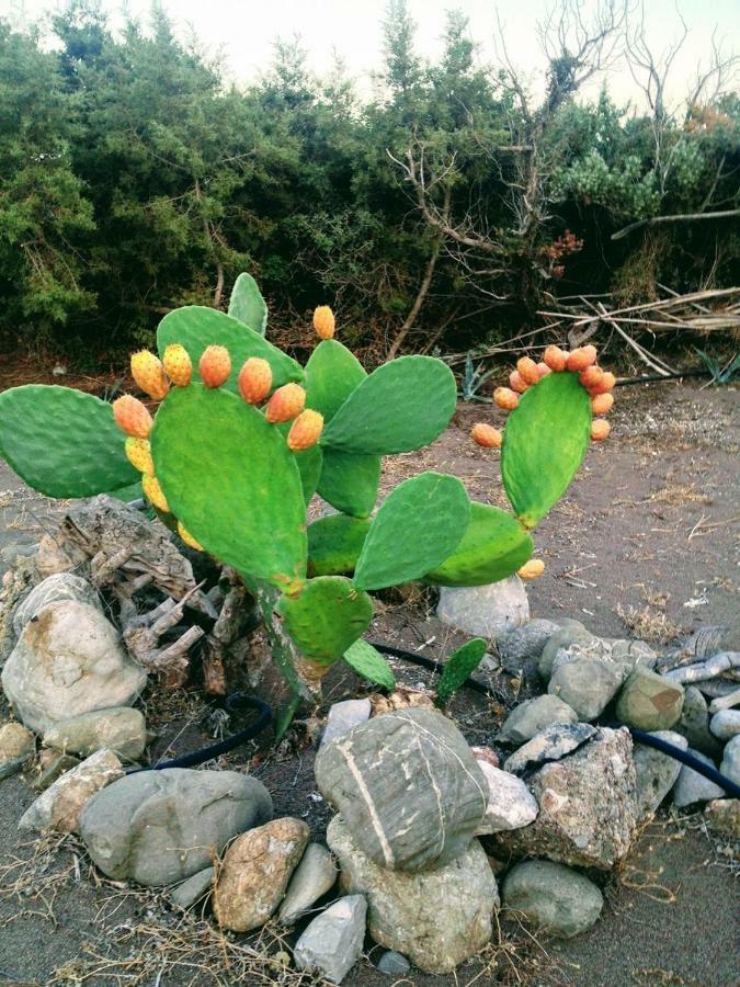 Villa Ktima Tzaneti Lakhania Esterno foto