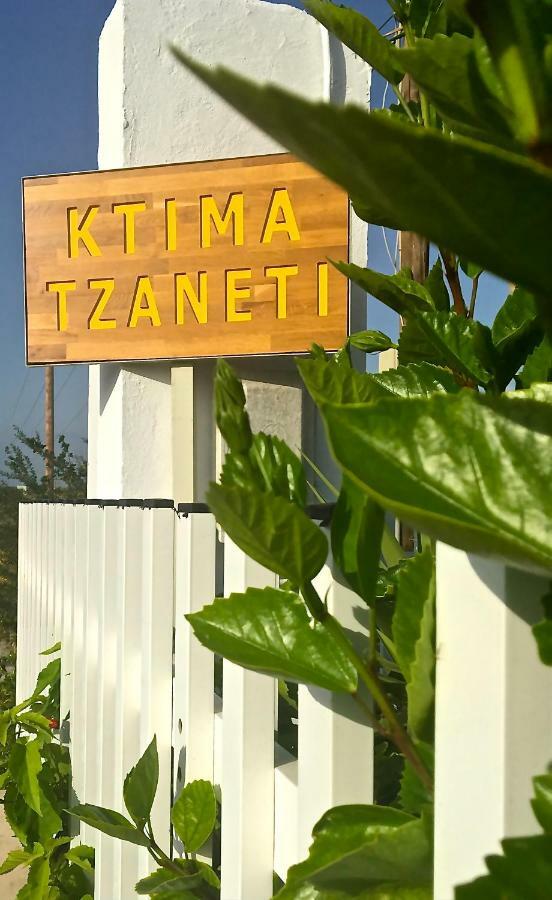 Villa Ktima Tzaneti Lakhania Esterno foto